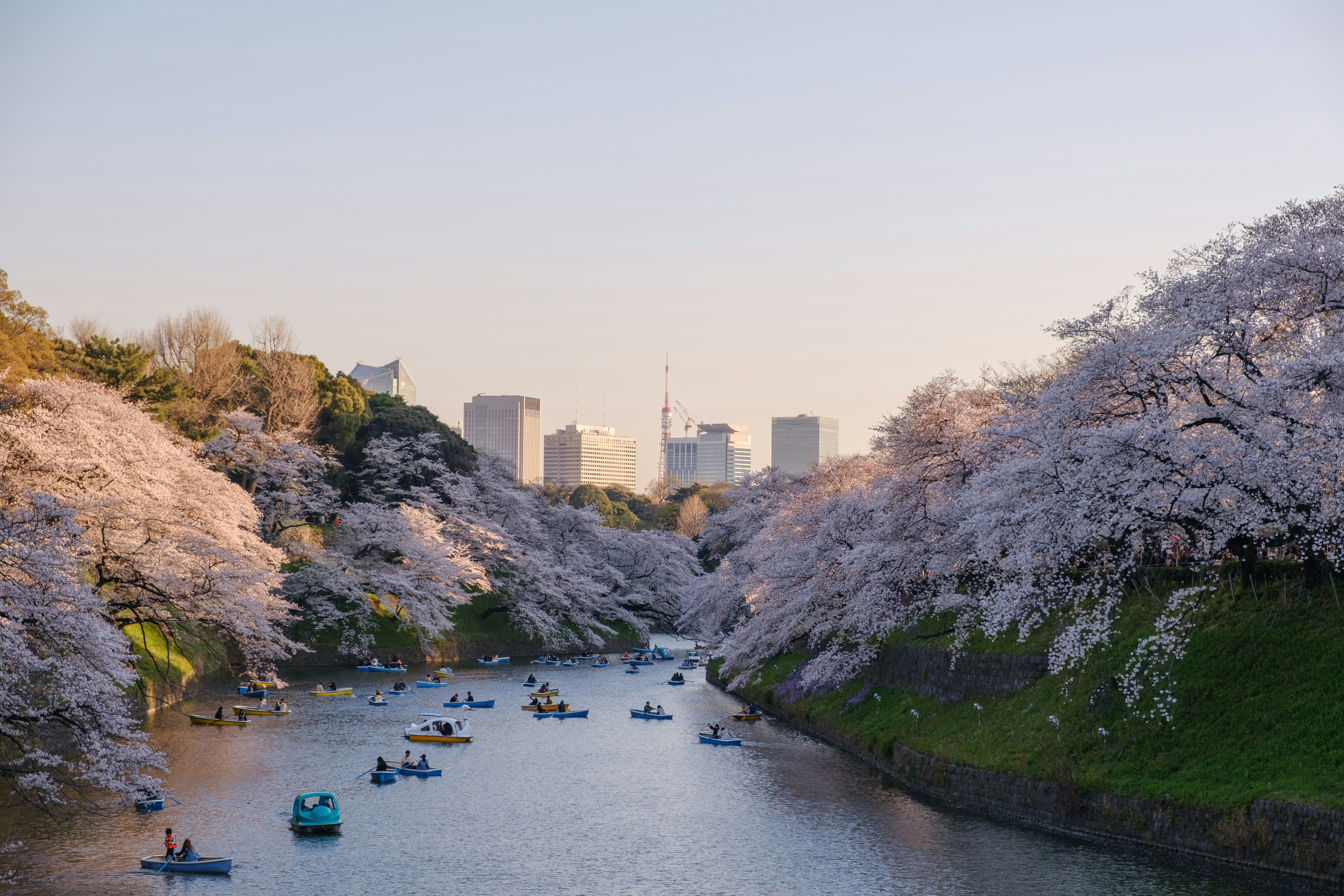 Tokyo Background